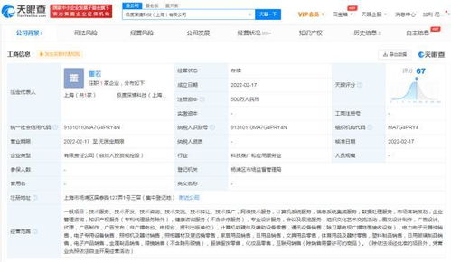 互聯(lián)網(wǎng)設(shè)備銷售 趨勢(shì)、挑戰(zhàn)與未來(lái)展望